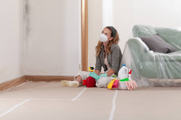 Reliable Mold Remediation contractor in Westwood, NJ by Car Mold Remediation